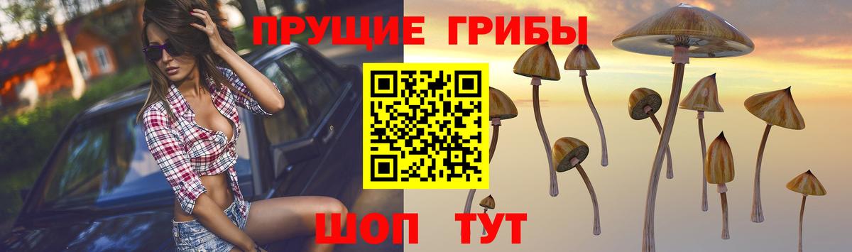 Избербаш  Галлюциногенные грибы ЛСД  Вход с VPN 